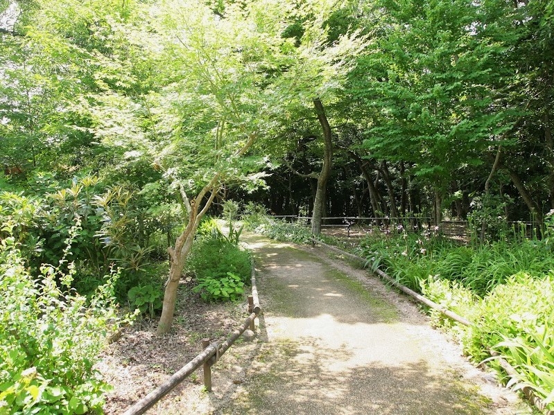 【2連泊限定】夏連泊プラン