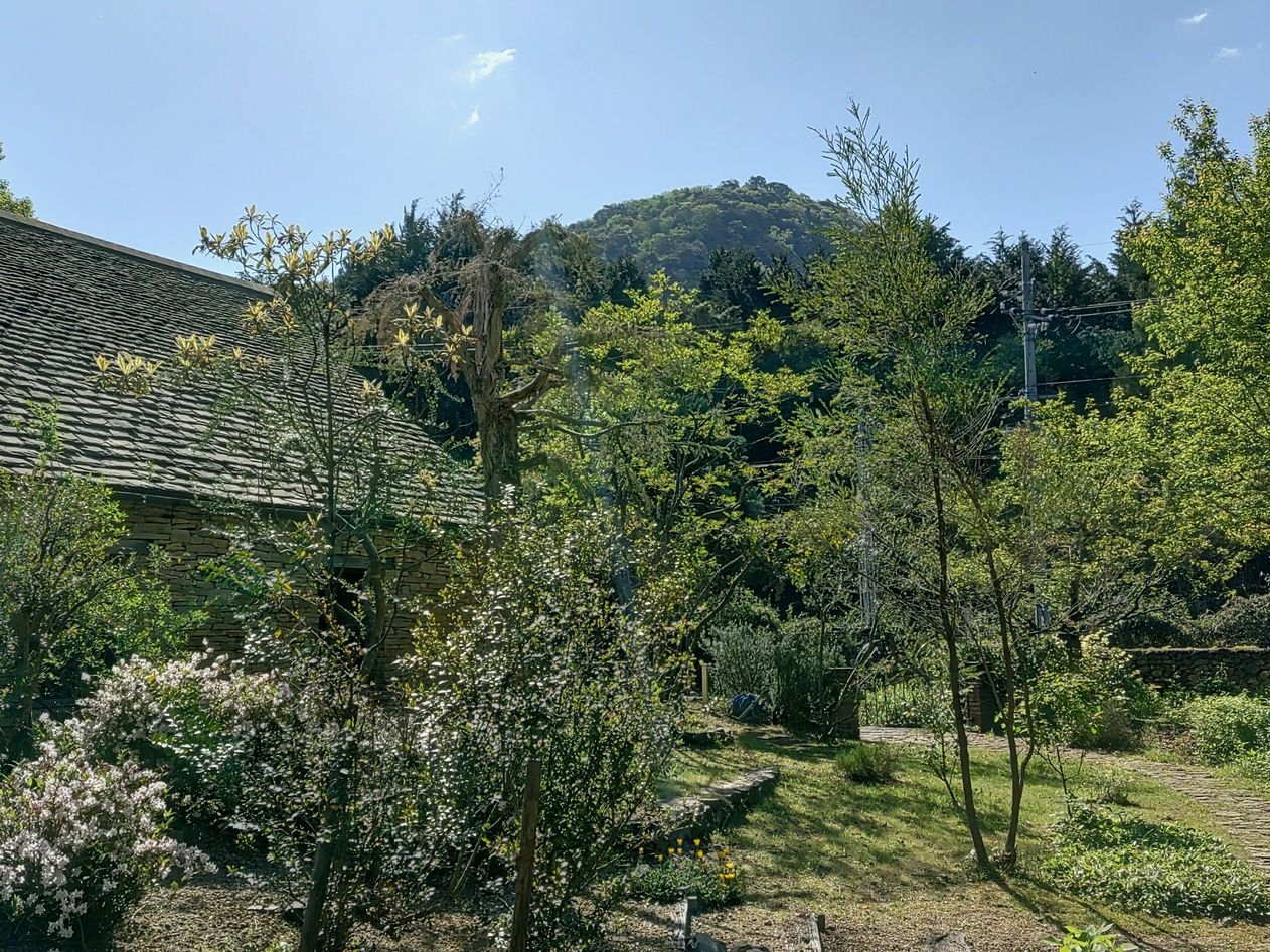 【2連泊限定】春連泊プラン