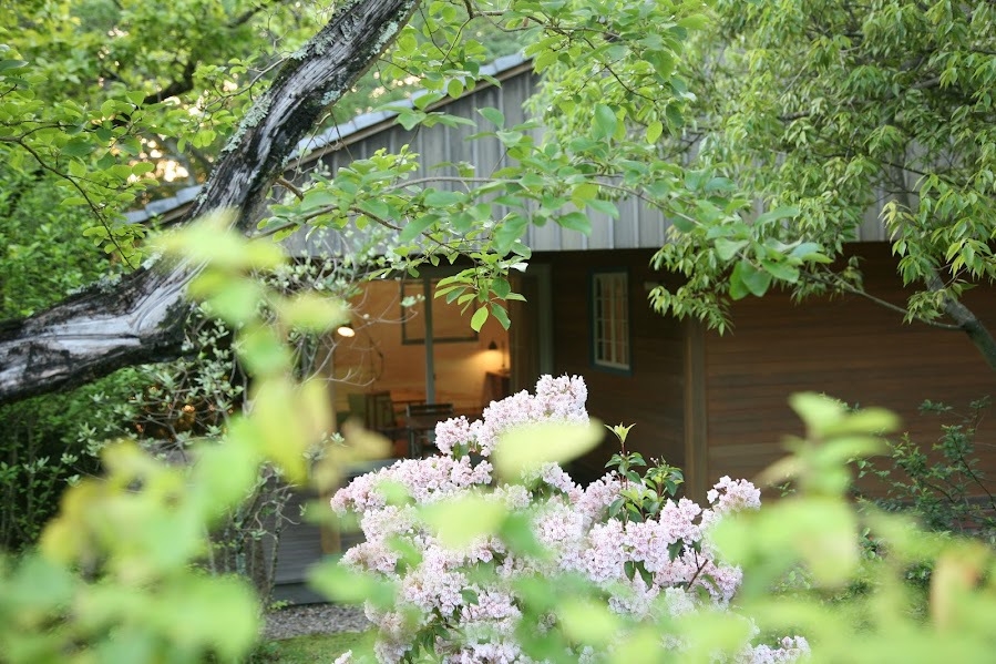 【2連泊限定】春連泊プラン