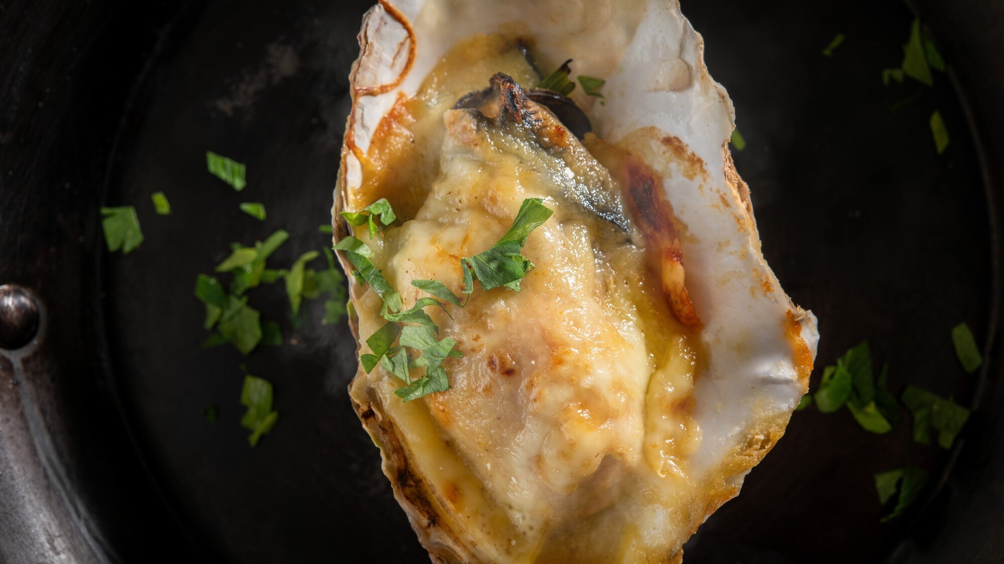 「HAKODATE OYSTERS 1854」／牡蠣グラタン