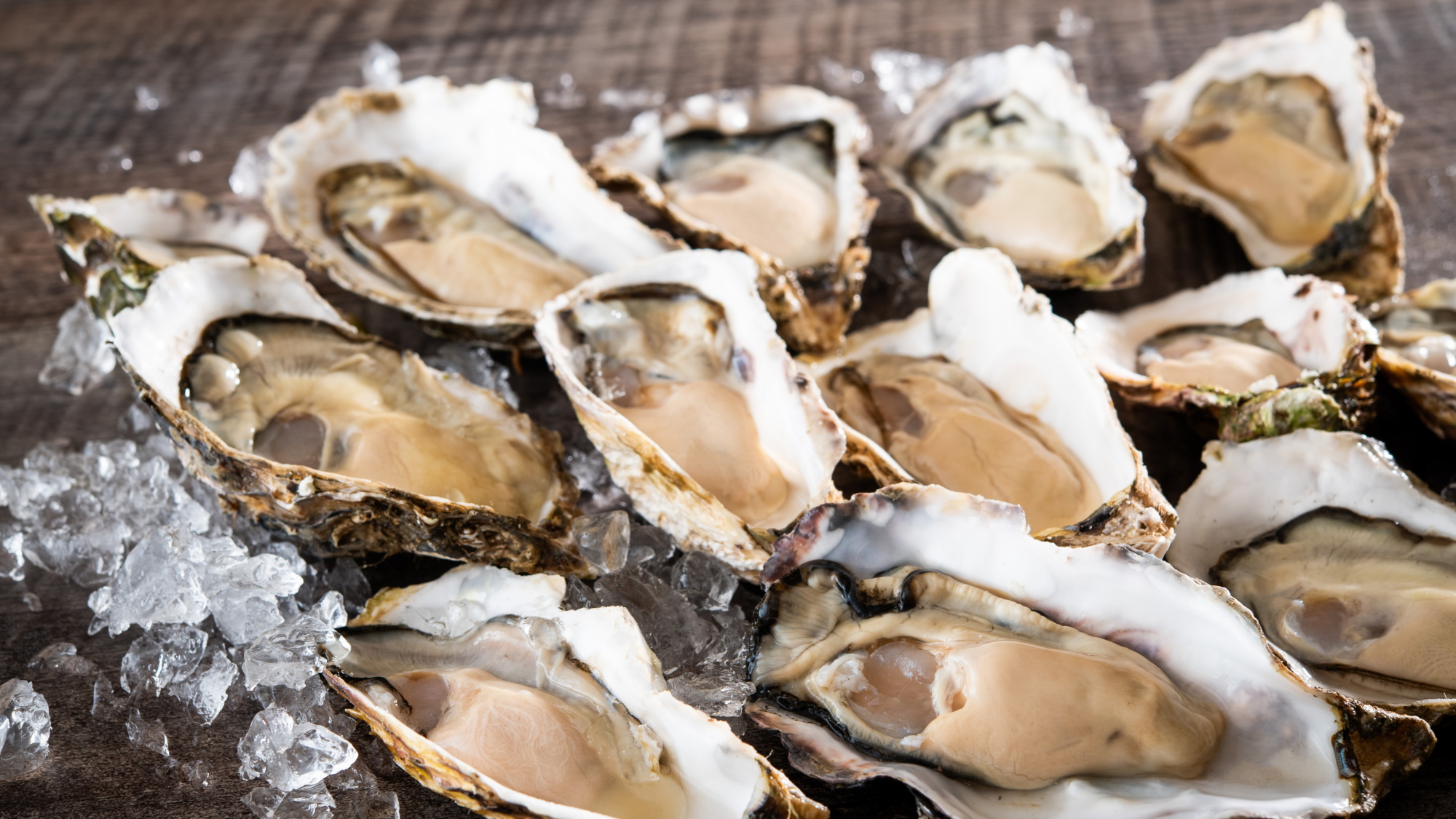 オイスターバー「HAKODATE OYSTERS 1854」