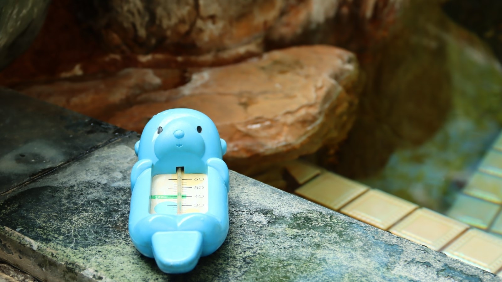 【食事なし】＜貸切/家族 岩風呂＞24時間入浴可能♪日本海と能登島町の石川旅行！ビジネスも歓迎です