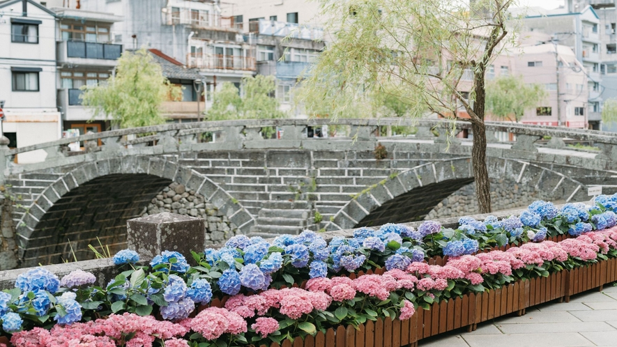 眼鏡橋（紫陽花）