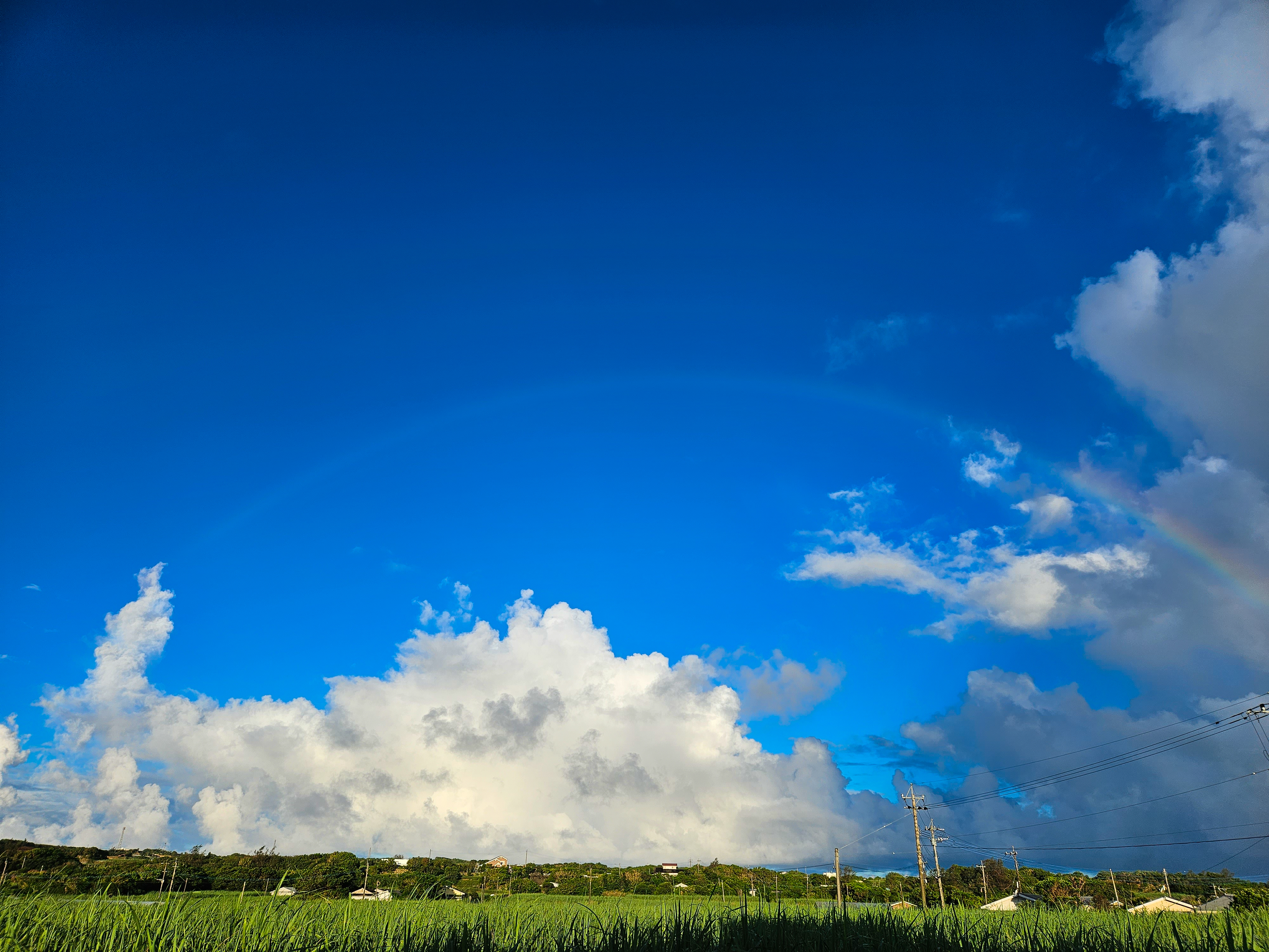 雨上がりの虹　お庭から２