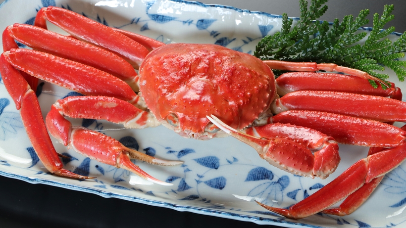 カニフルコースで満腹！冬の味覚の王様「蟹」2杯分の蟹で贅沢三昧【1泊2食付】
