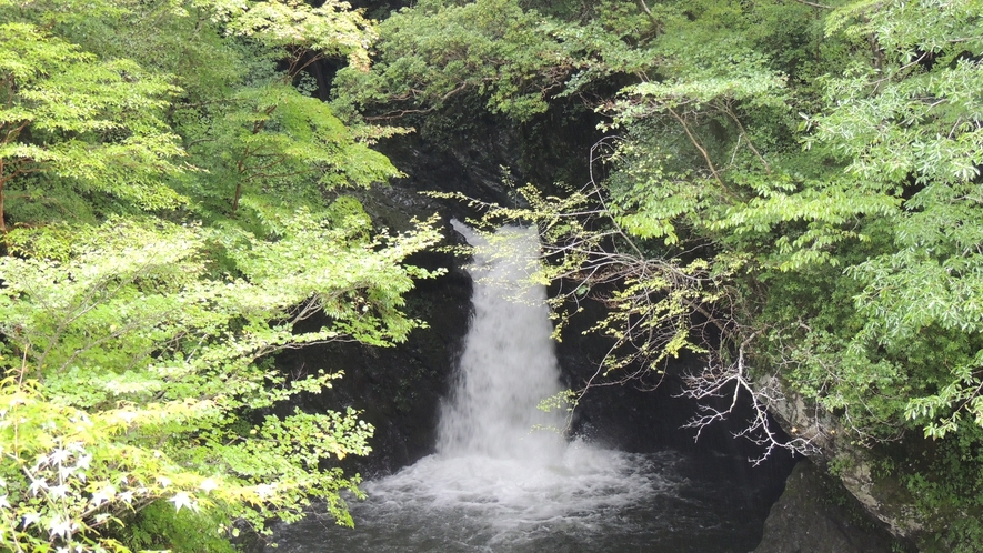 *大釜の滝/当館から車で約20分。日本滝百選にも選ばれた見ごたえのある滝です。