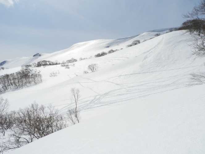 【周辺】国定公園焼石連峰_焼石岳_雪景色