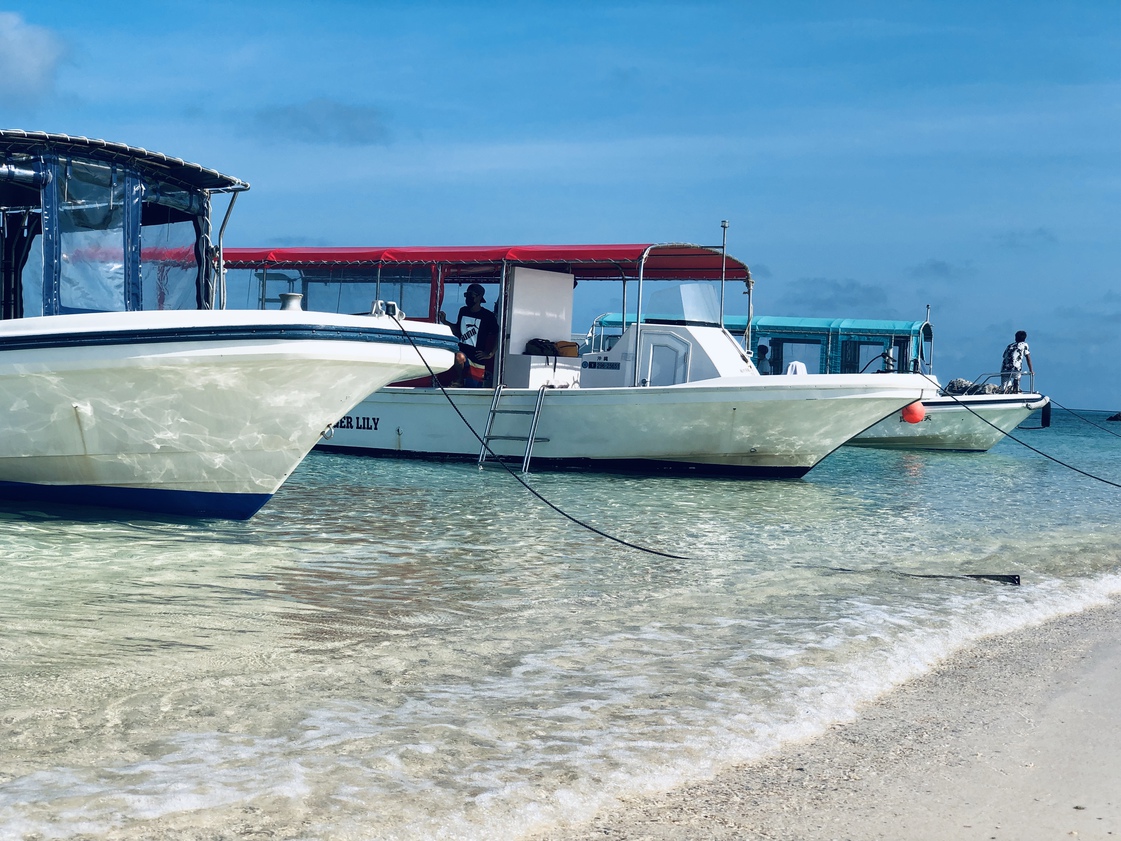 11月〜2月　宿泊＋バラス＆幻の島上陸＋石西礁湖・海亀シュノーケリングツアー※ツアー代金のみ現地精算