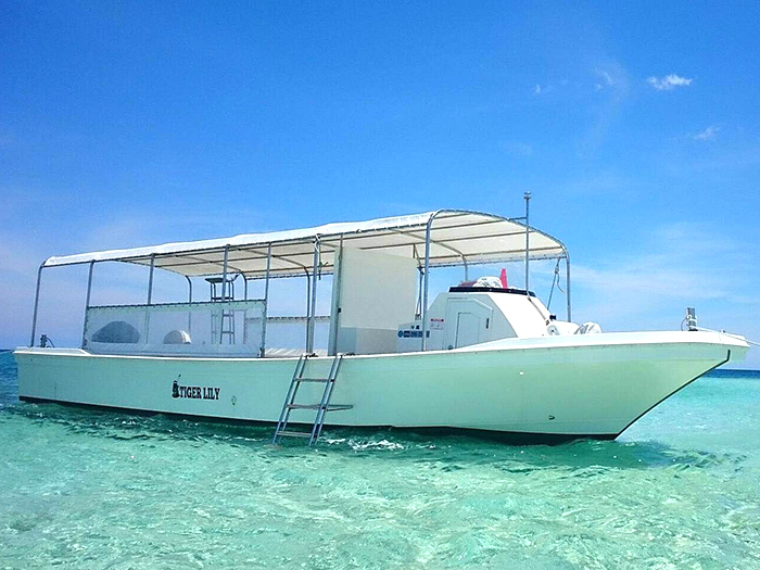 11月〜2月　ボートチャーターコース　※要事前問合せ※ツアー代金のみ現地精算