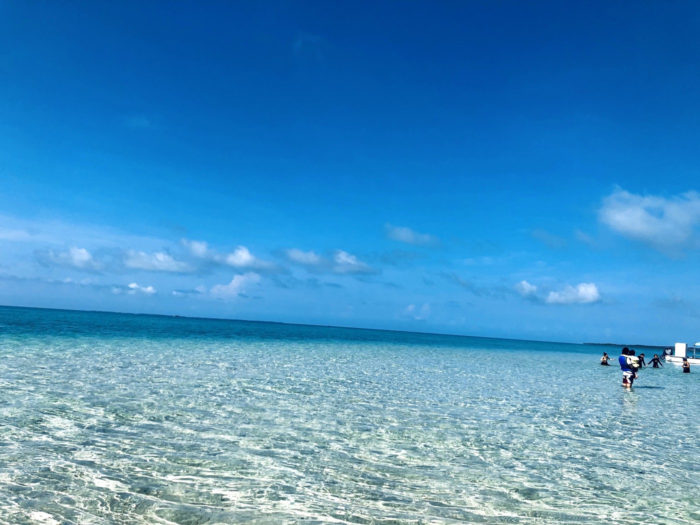 11月〜2月　宿泊＋バラス＆幻の島上陸＋石西礁湖・海亀シュノーケリングツアー※ツアー代金のみ現地精算