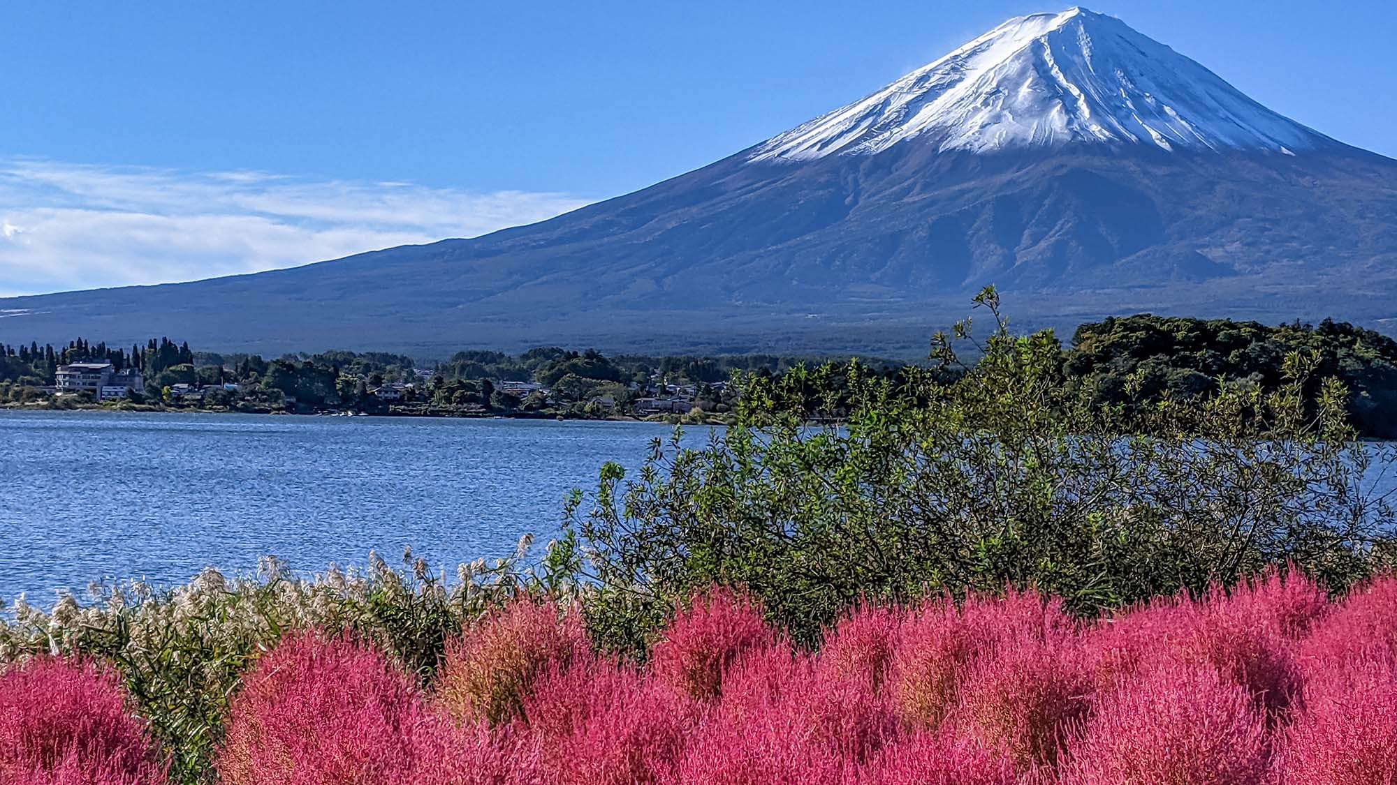 【エコ連泊×素泊まり】清掃は3日に一度なのでお得！富士山麓の美しい風景を堪能【全室露天風呂完備】