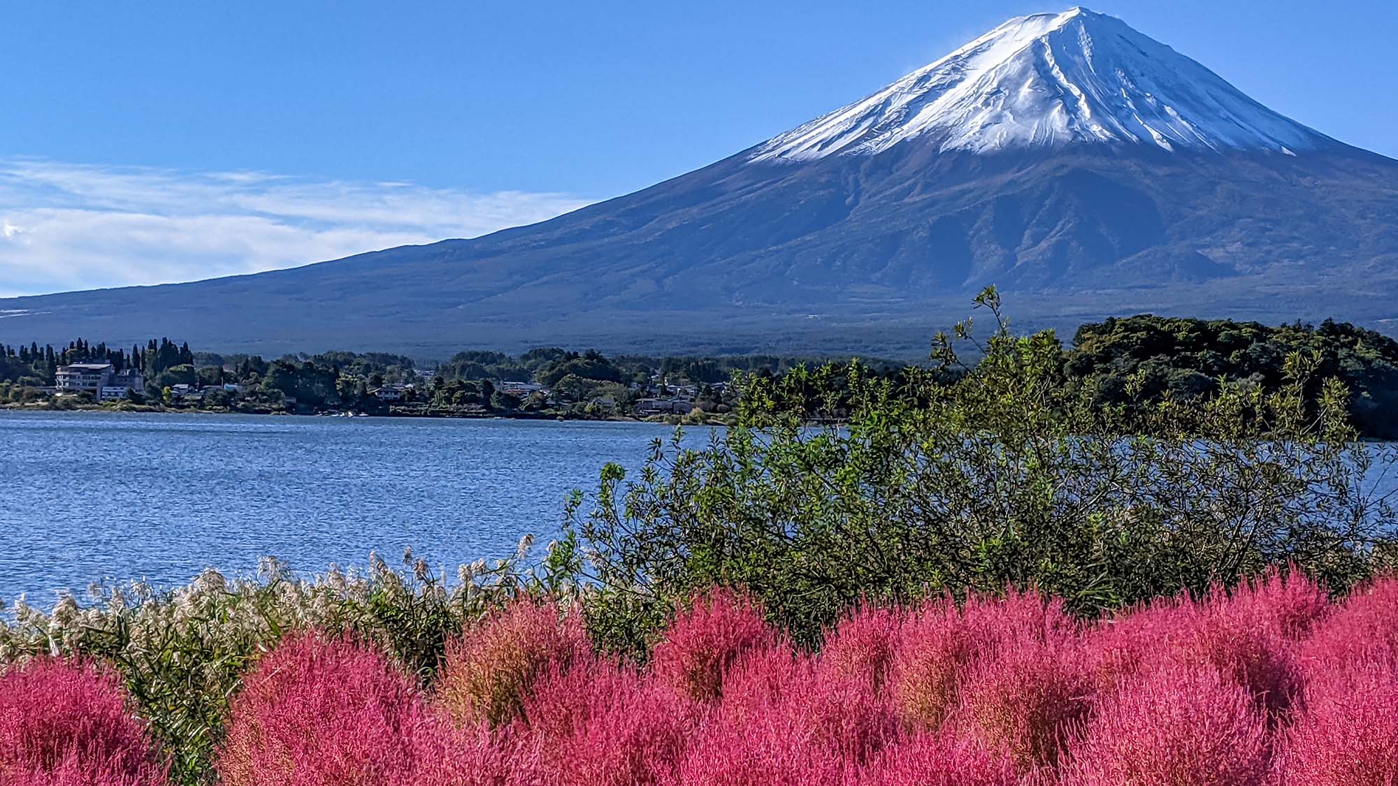 ・季節により様々な表情を見せる富士山と河口湖