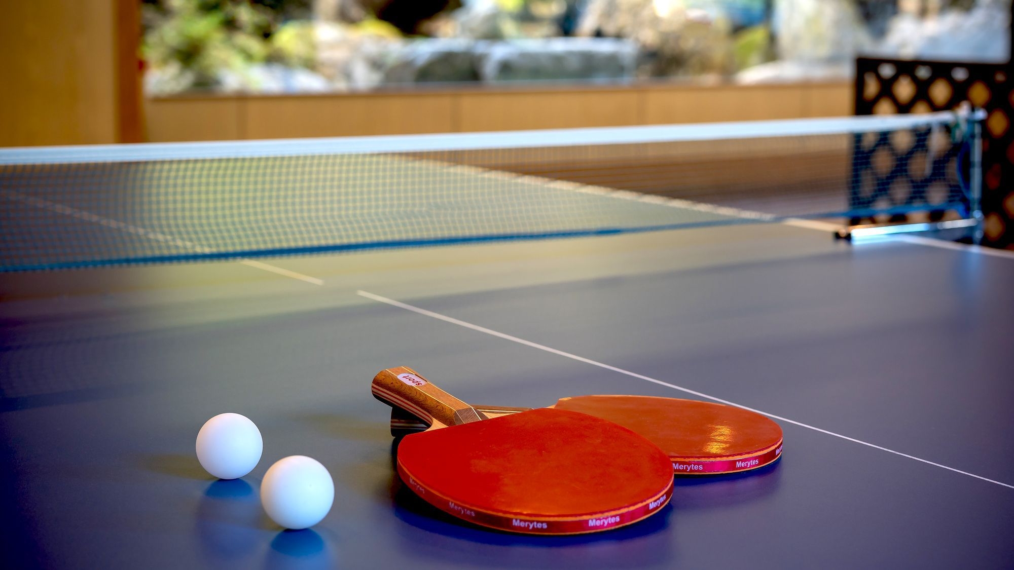 【早期割28／夕食弁当付き】早期予約でオトクな価格！　※27日前から返金不可