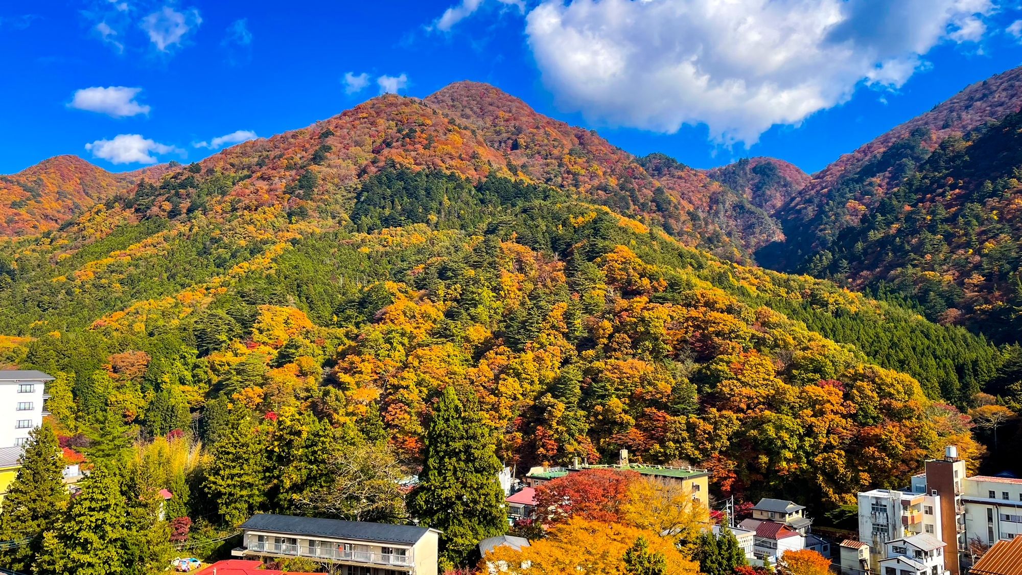 紅葉シーズンの客室からの眺め※一例