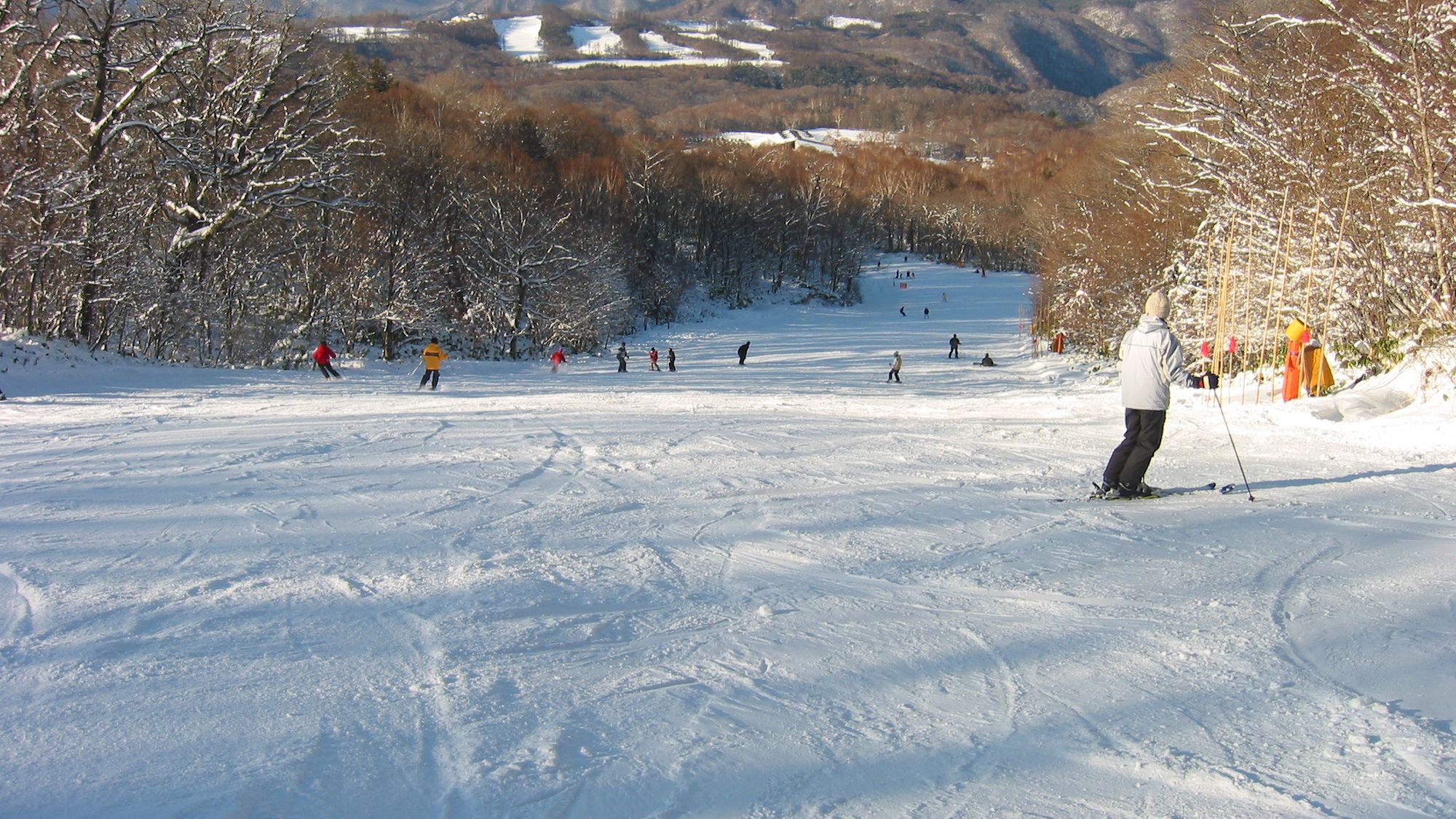 エーデルワイススキーリゾート　ゲレンデ