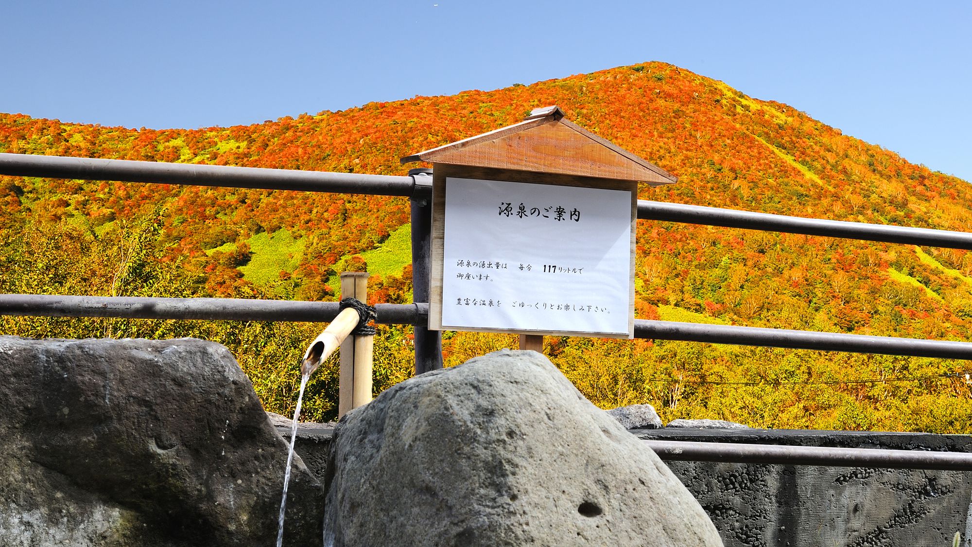 監察医朝顔 倒れる