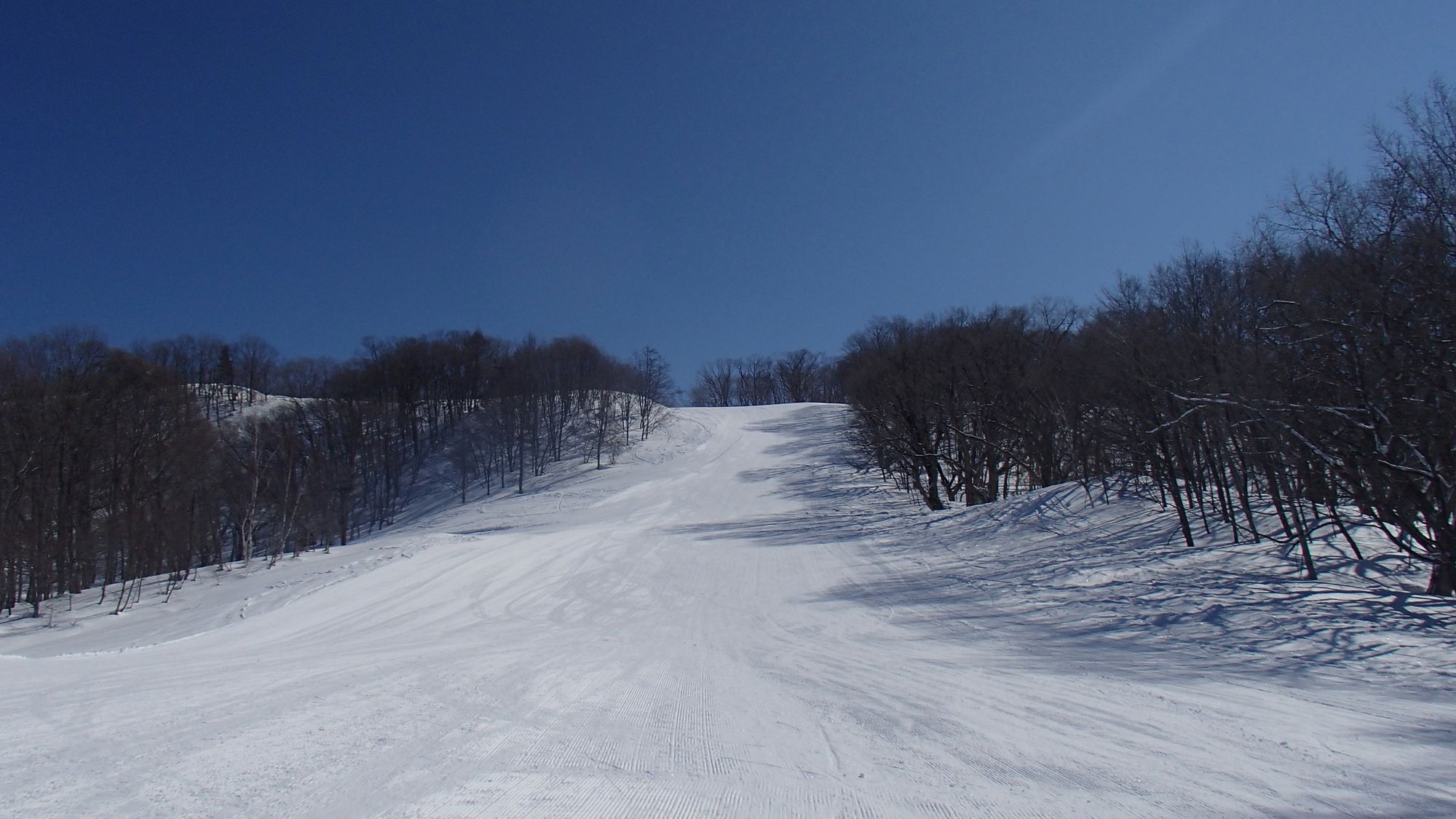 会津高原南郷スキー場　ゲレンデ