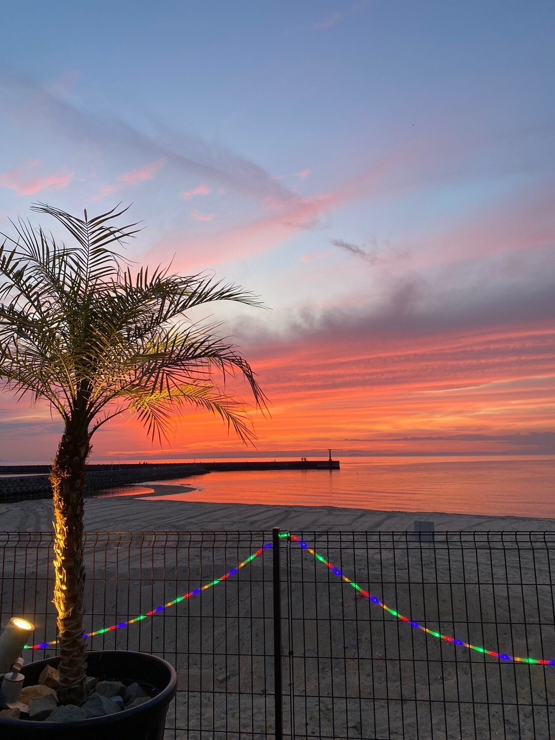 大人9〜10名様迄わんちゃんOK！ビーチ目の前 貸別荘 ☆チェックイン11時〜チェックアウト16時☆