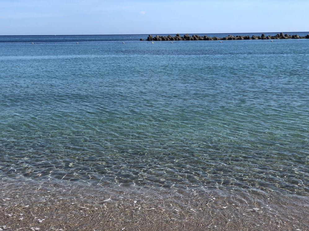 ！！直前割！！【素泊り】夏のご予約に空きが出ました！古民家1棟貸しでのんびりステイ◎