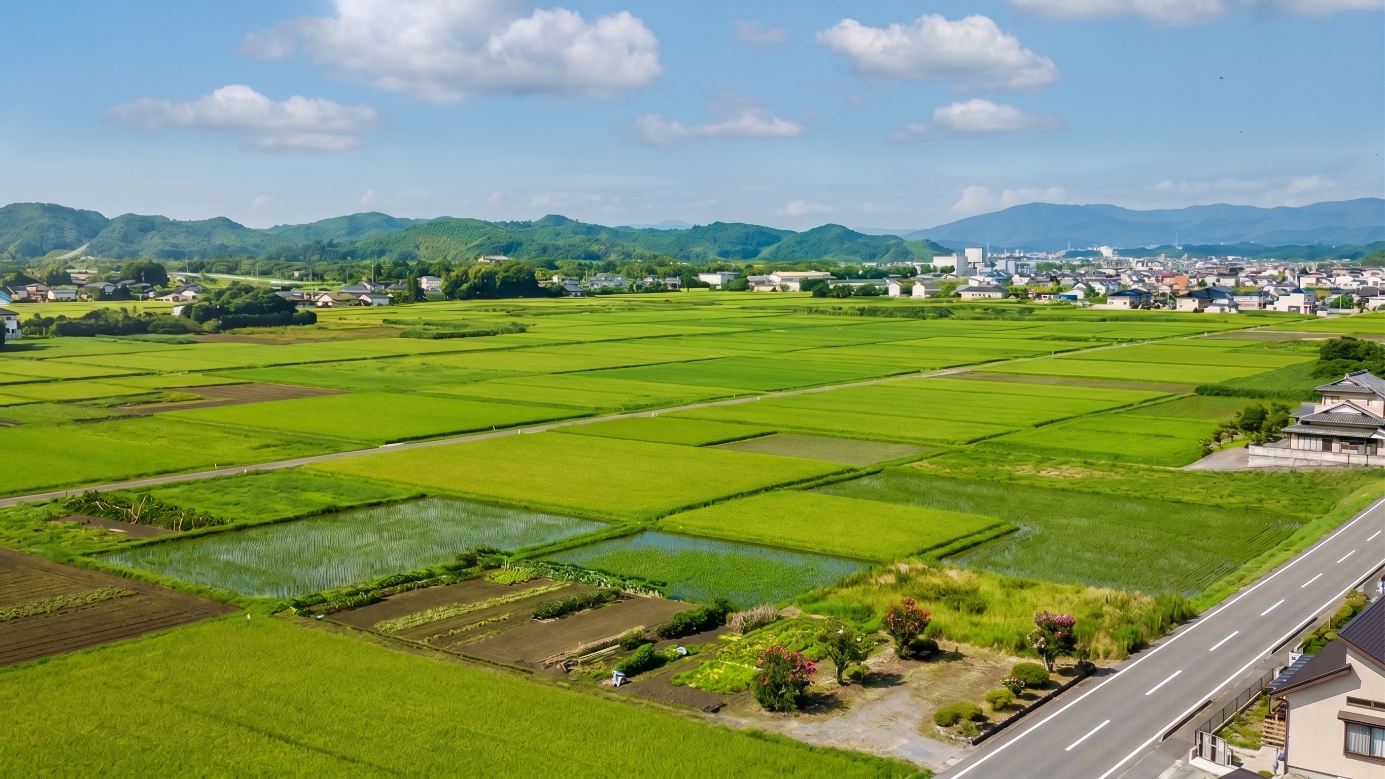 古民家を囲むのどかな田園風景
