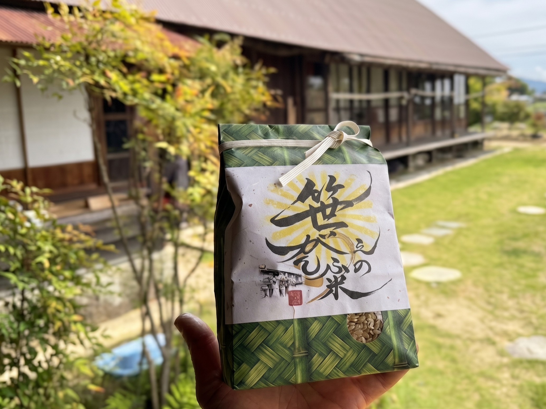 自然栽培「がんぷ米」｜赤沼がんぷ農園
