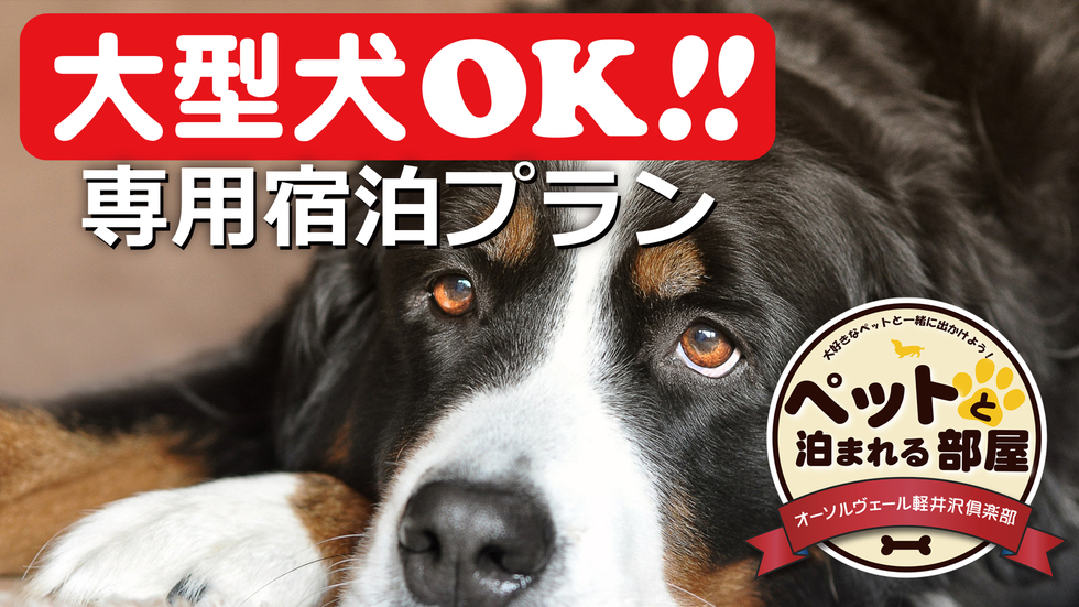 【中・大型犬専用プラン】愛犬同伴可｜広々ドッグランのあるお部屋で軽井沢旅行を！／ホテルこだわり朝食付