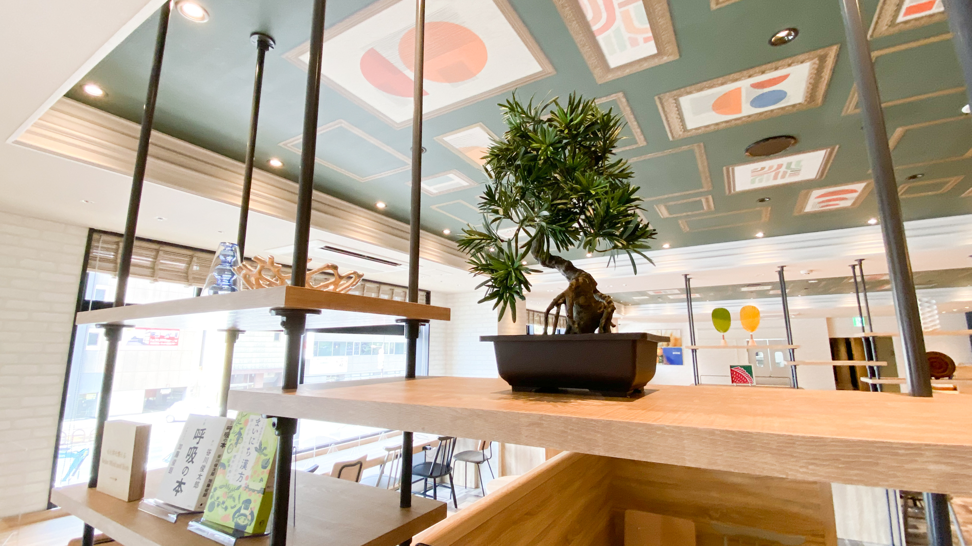 【ライブラリーカフェ】高松は松盆栽生産の国内シェア8割をしめる盆栽の里です。