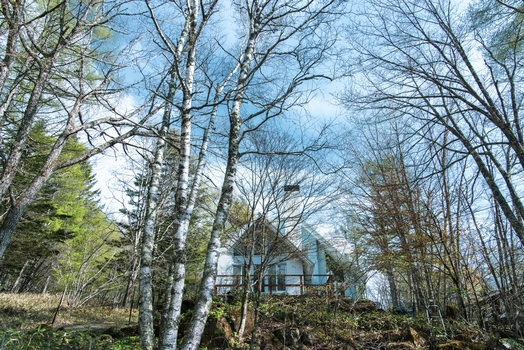 【朝食付プラン】玉子もハムも高原レタスもフルーティなプチトマトもすべて新鮮な地元産の美味しい朝食です