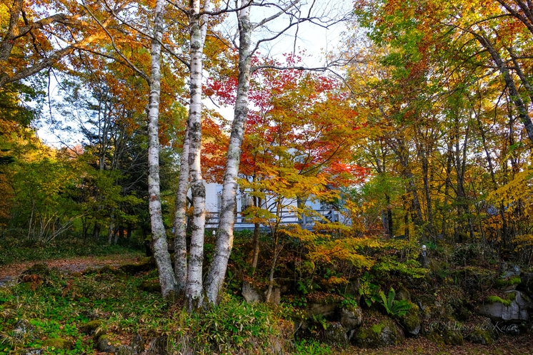 秋のペンションサンセット・外観（紅葉）