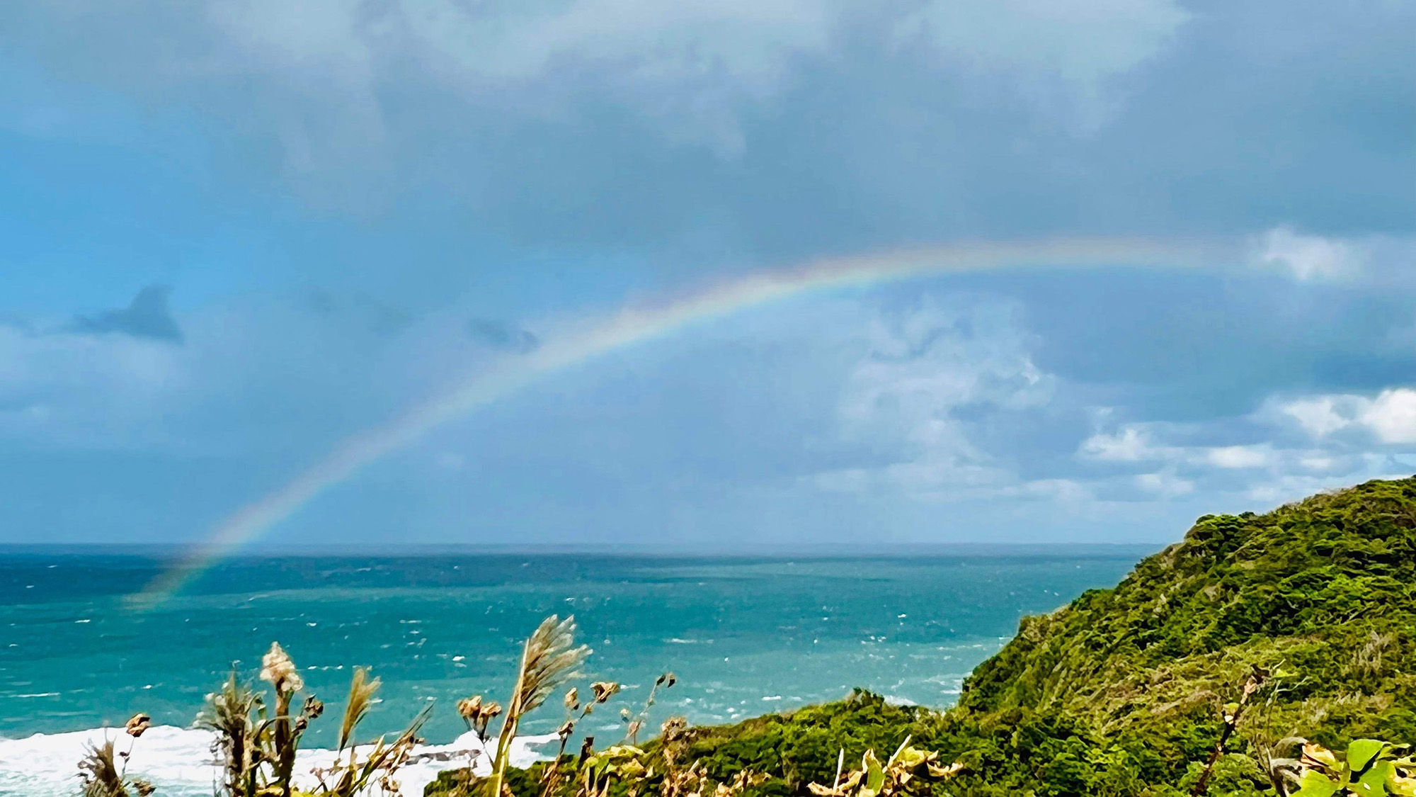 ・【周辺】自然あふれる大島では、日常を忘れてお過ごしいただけます。素敵な休暇をお過ごしください