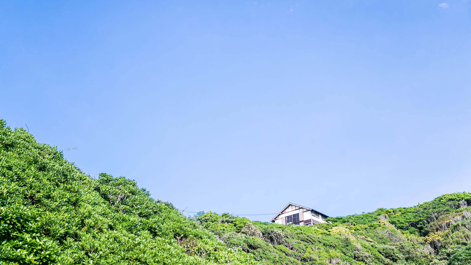 ・【外観】大島は自然が美しい離島です。日々の疲れを忘れる穏やかなひと時を当宿でご体感ください