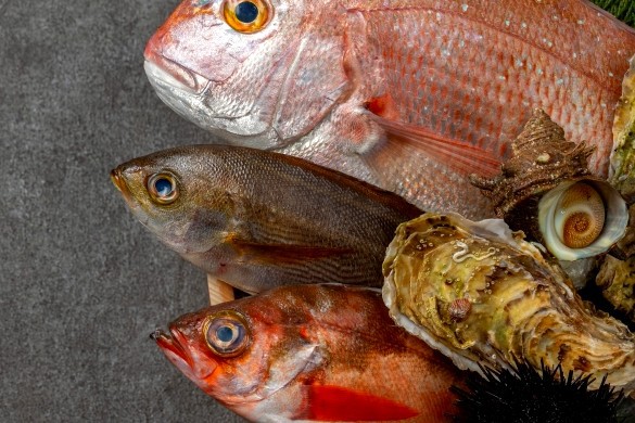 【2食付】お刺身会席●夕食は日本海でとれたての魚を中心にしたお刺身をご用意します●