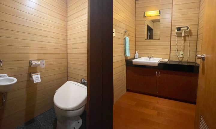 昭和レトロ客室　シャワートイレと洗面台