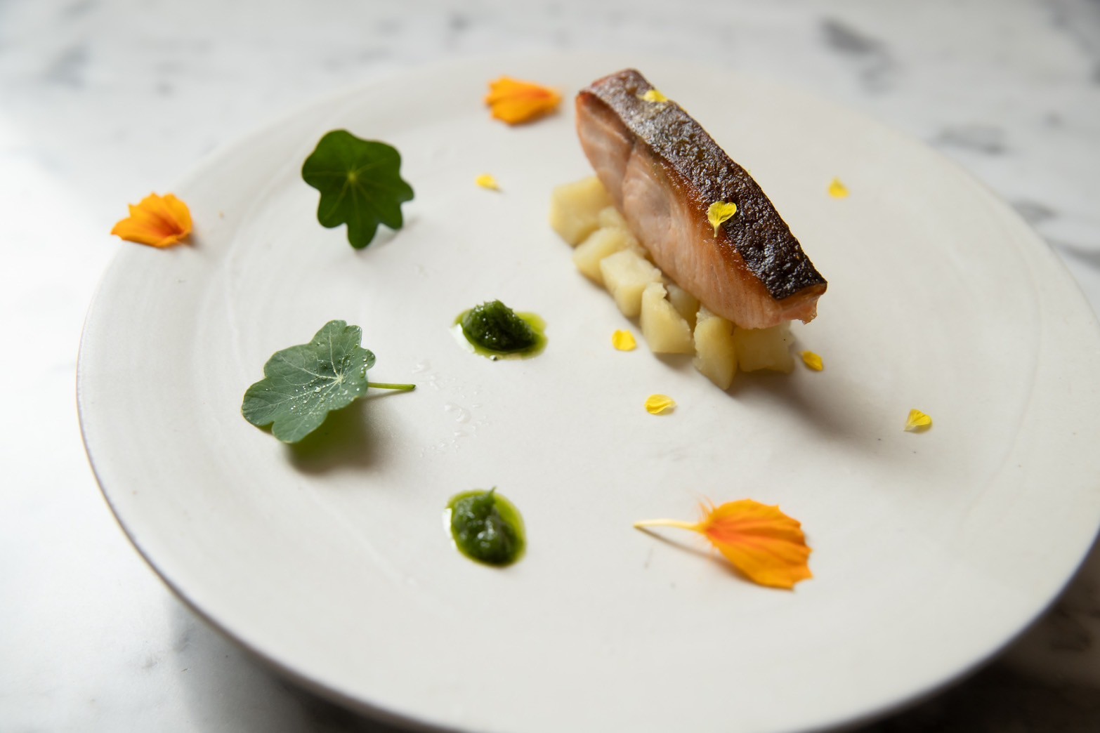 フレンチコースディナー_4