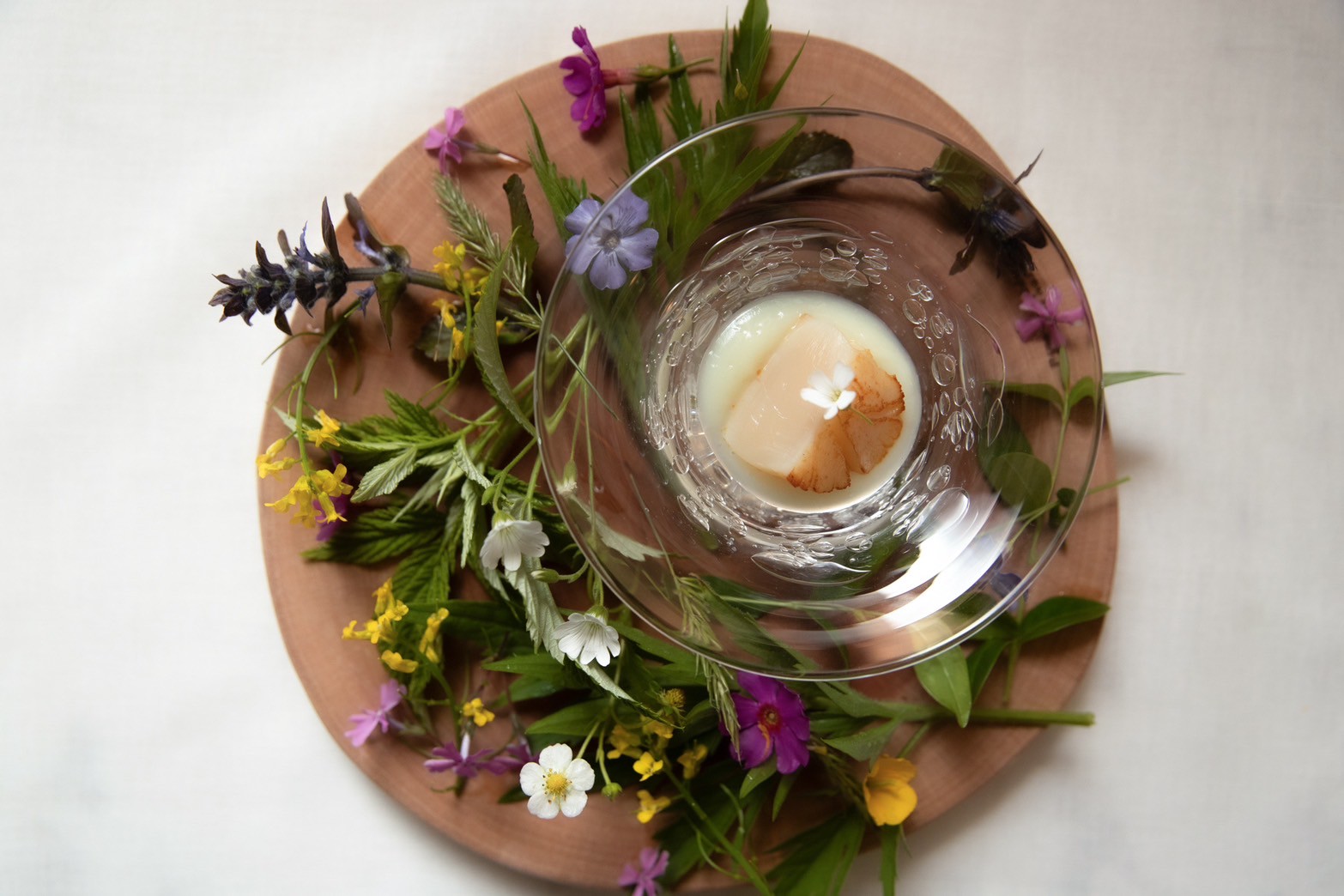 フレンチコースディナー_1