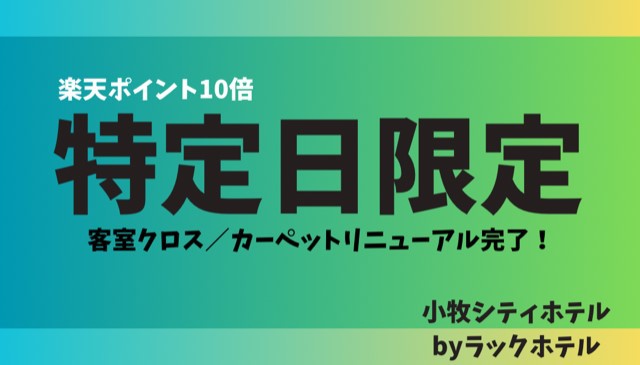 【楽天限定☆ポイント10倍】◆特定日＆室数限定◆第二弾リニューアル完了◆1名様歓迎！【素泊まり】