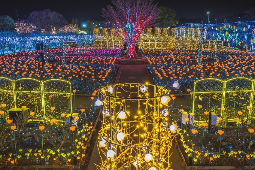 【期間限定】あしかがフラワーパーク　イルミネーション入園券付きプラン