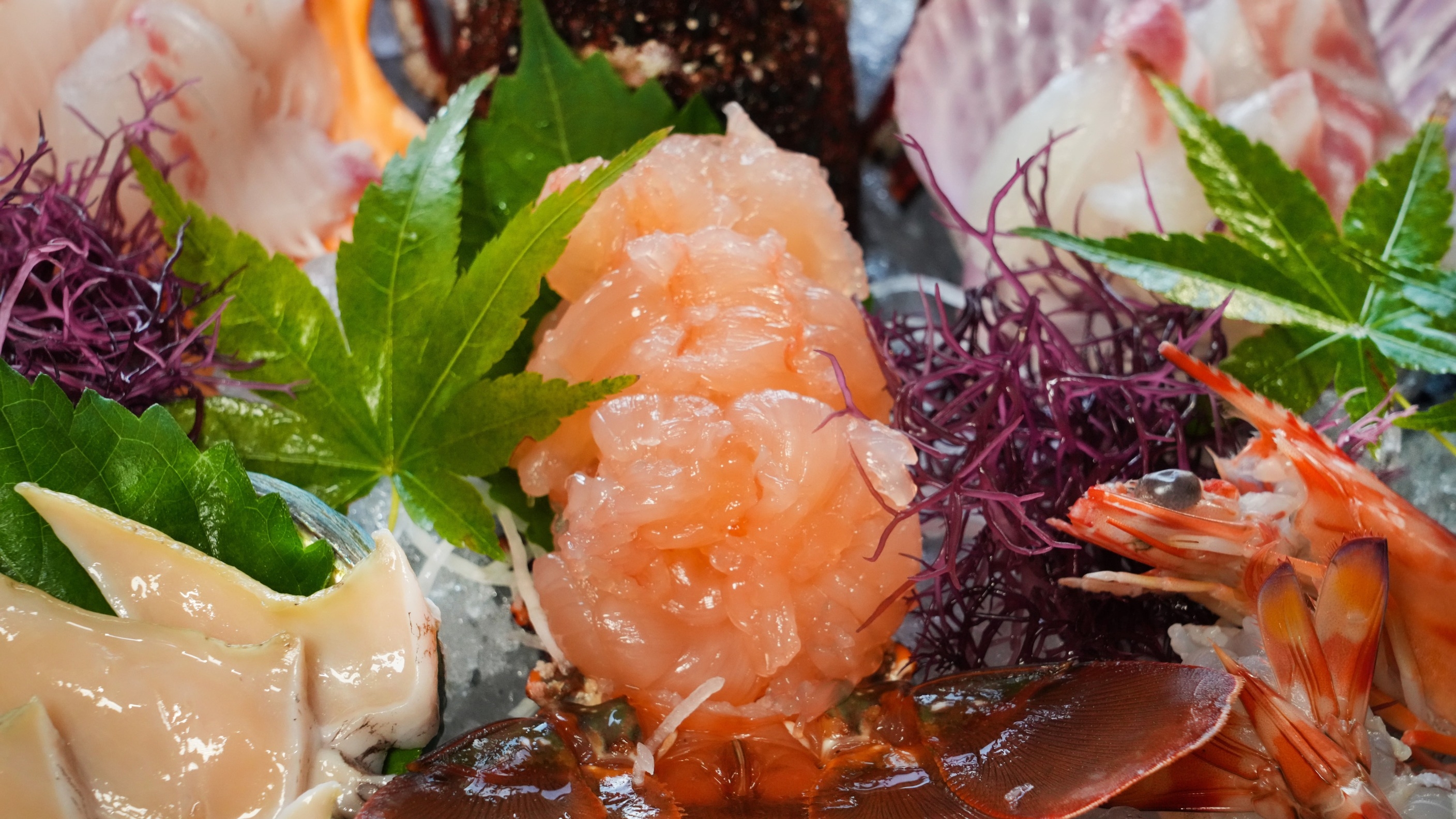 【4日間限定】冬の味覚「寒びらめ」と天草の魚介類と熊本ブランドお肉三昧プラン