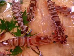 Prawn 240 × 180