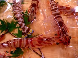 【スタンダードプラン】「あわび」と「車えび」に「天然魚おさしみ」温泉で心身共にリフレッシュ