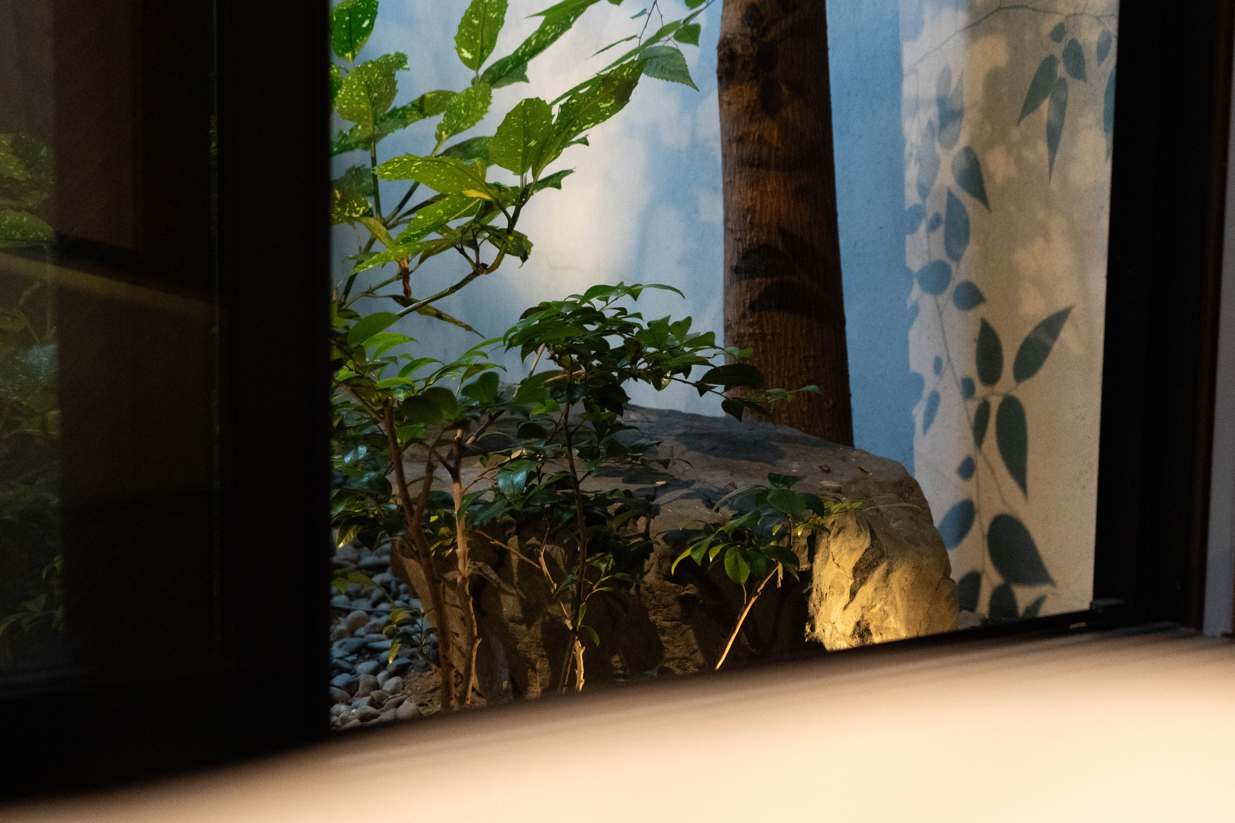 101：1階東（ツイン）中庭ビュー