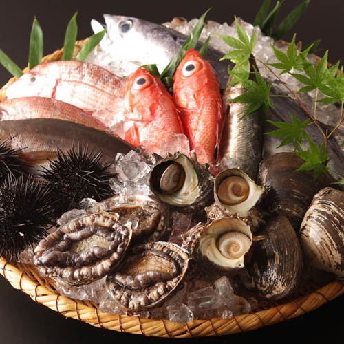 【初めての新つた編】当館料理長おすすめ！「季節のお任せ会席」で郷土料理を満喫★