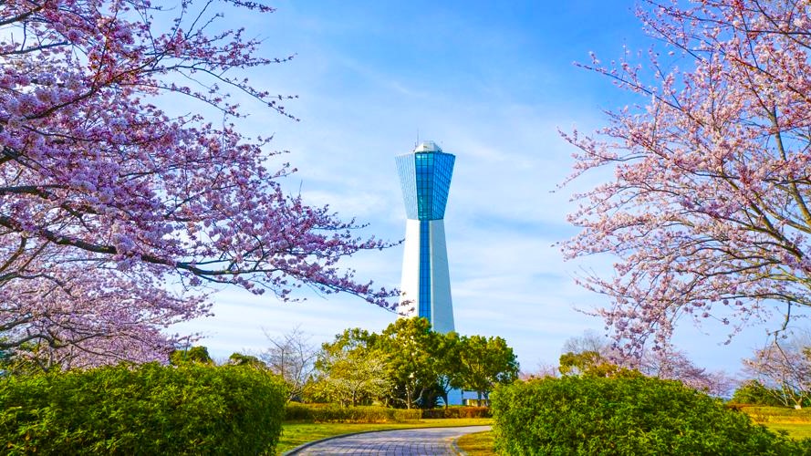 【三崎公園】広大なみどりの芝生の中でリフレッシュ！260℉の大パノラマ「マリンタワー」にも是非登ろう