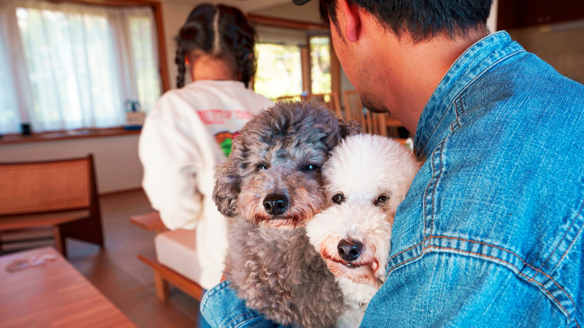 ・ドッグフレンドリーな宿で、愛犬や大切な方と特別な時間をお過ごしください