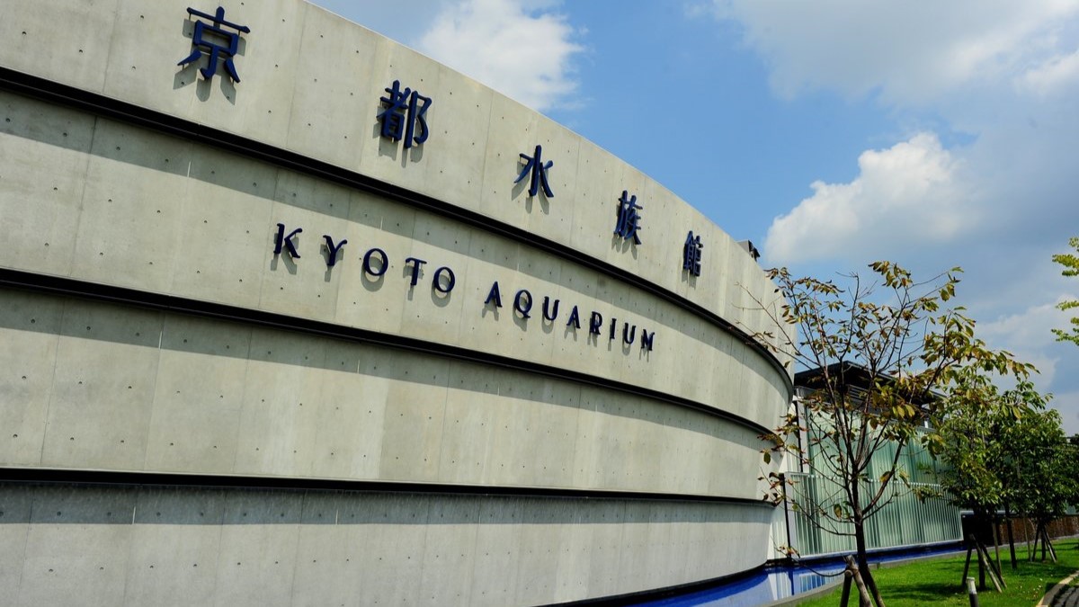 【京都水族館】