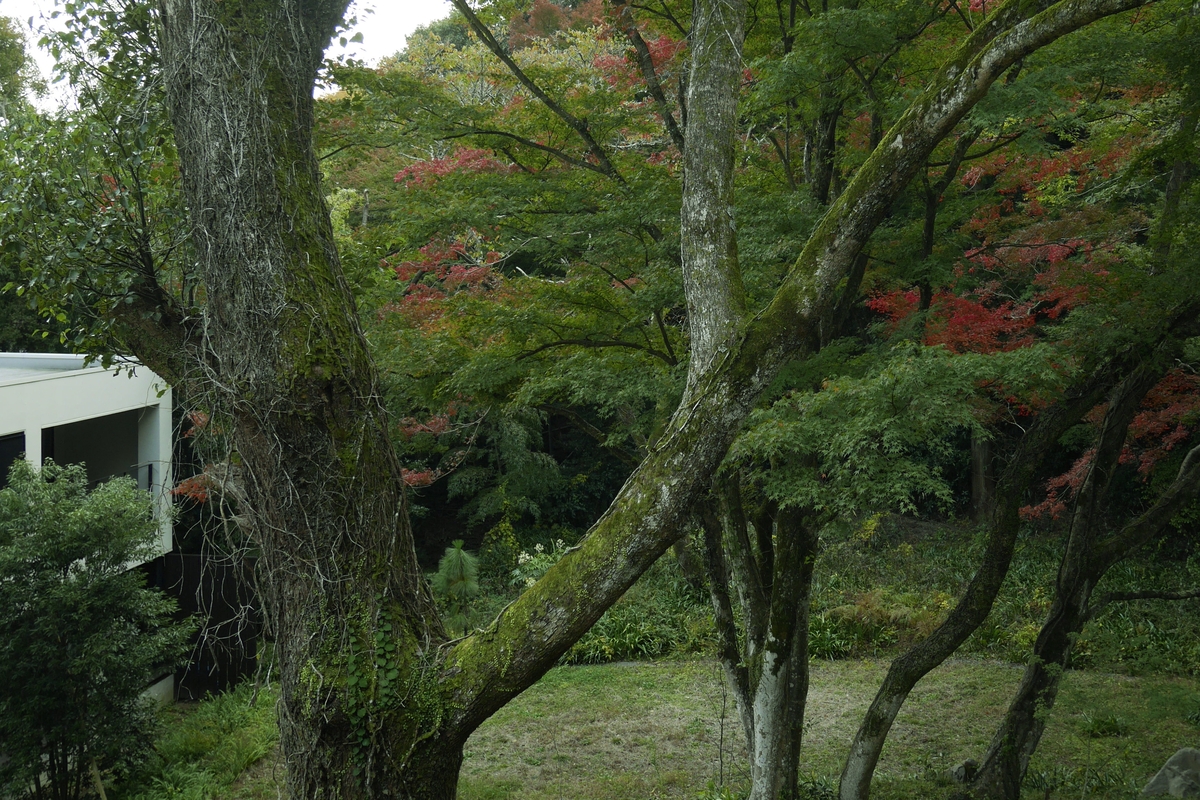 BOSCAGE Kariya(眺望・庭園)