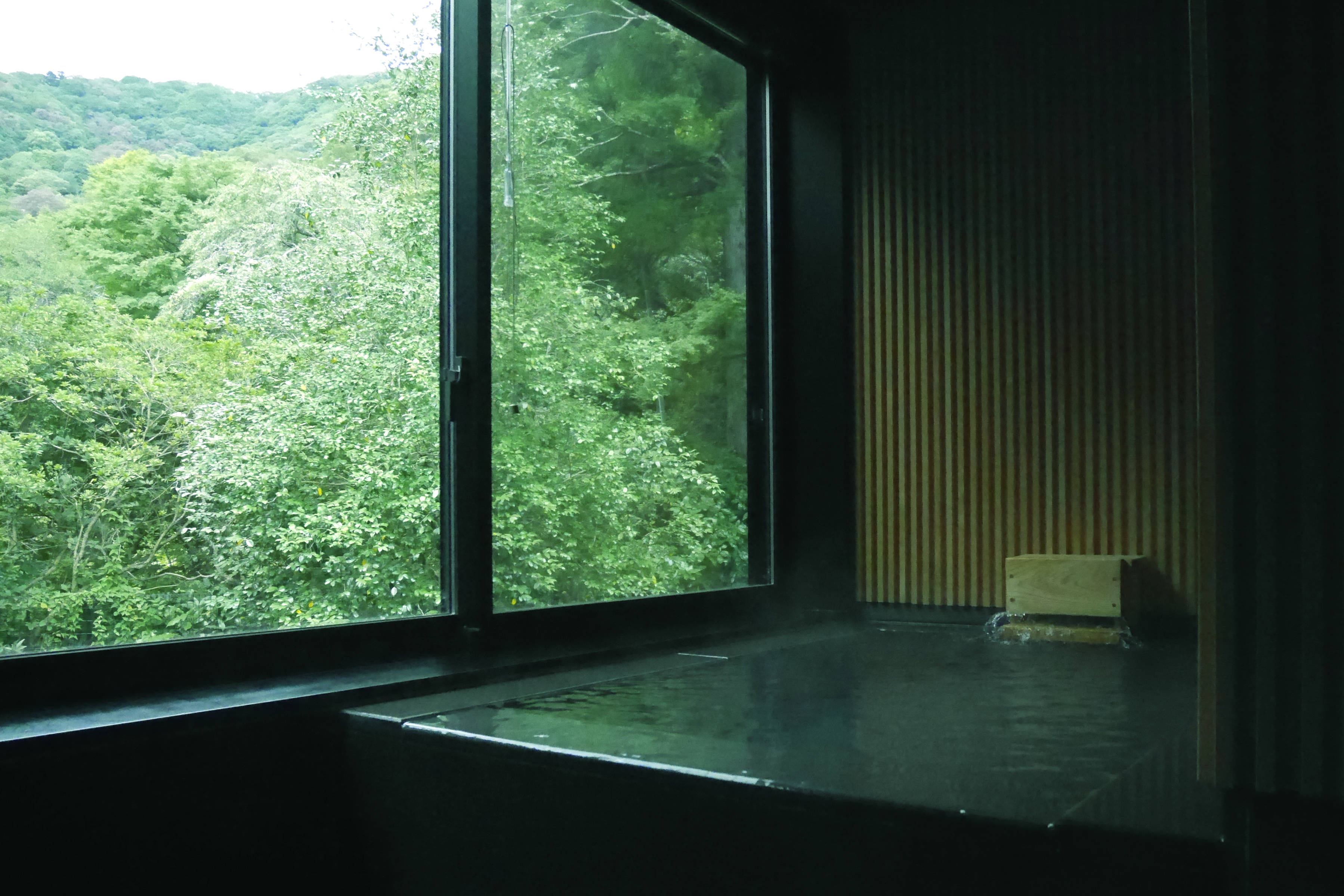 BOSCAGE Kariya(部屋(水回り))