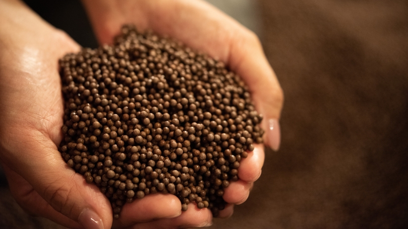 Travel+Leisure Luxury Awards Japan受賞記念プラン＜フレンチ＞