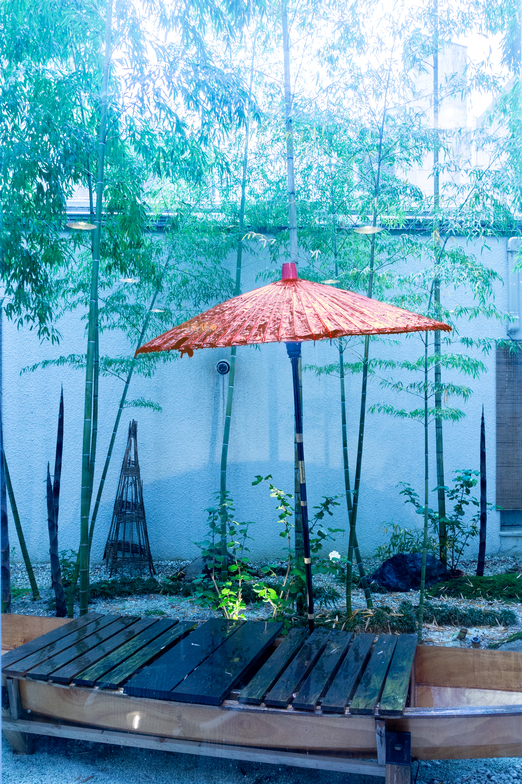 中庭