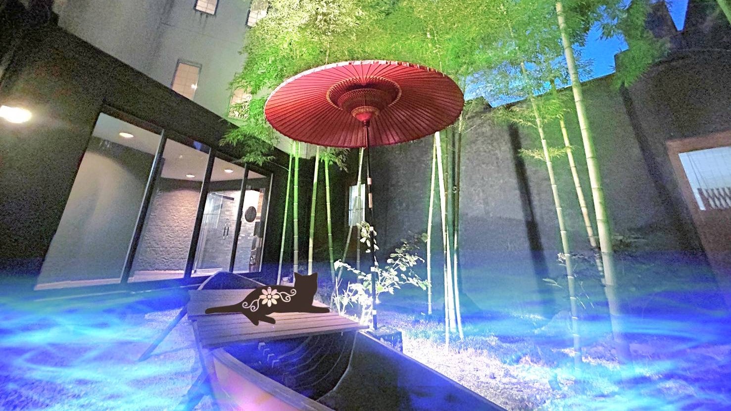 猫が遊びに来る庭